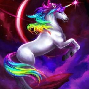 Meet your Posher, Amie